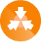 ICON PM 1