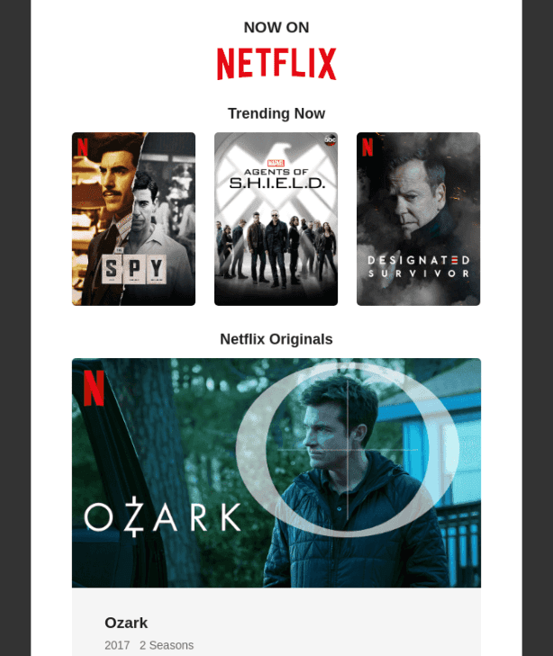 Netflix sample email
