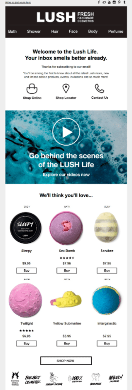 lush sample email